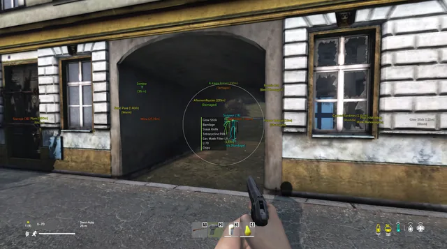 DayZ Cheats community Tips for Aimbot and ESP — DayZ cheat gameplay screenshot